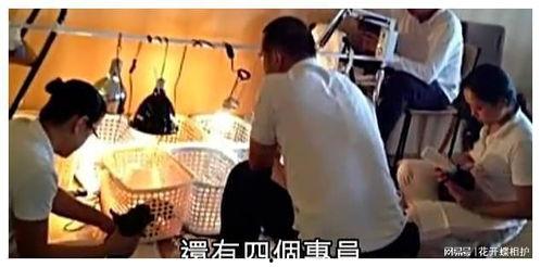 吃瓜娱乐圈录播是真的吗,吃瓜群众热议录播事件