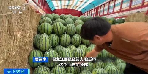 娱乐区吃瓜现状